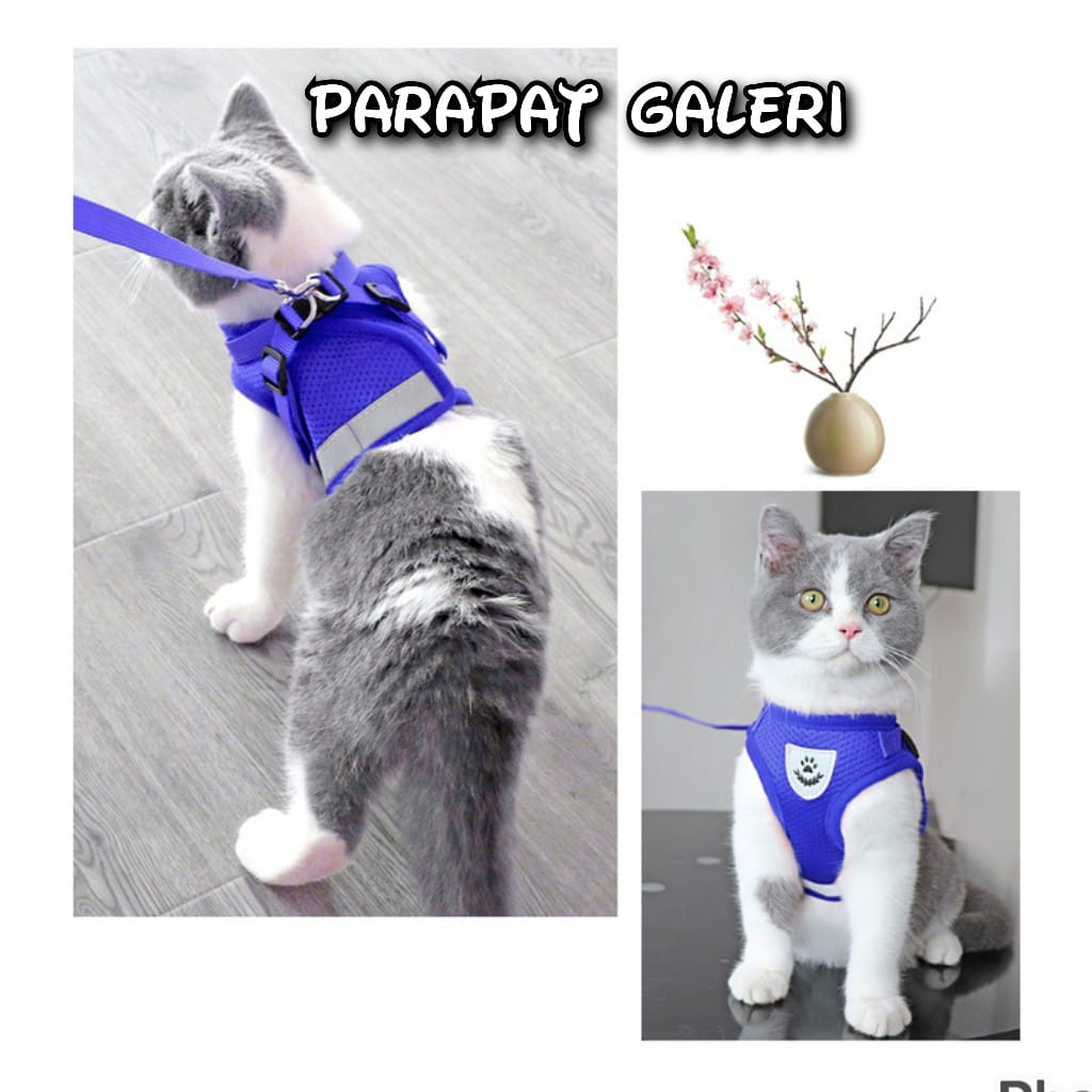 Tali Tuntun Harness Anjing - Rompi Kucing Kwalitas Import - 1 set