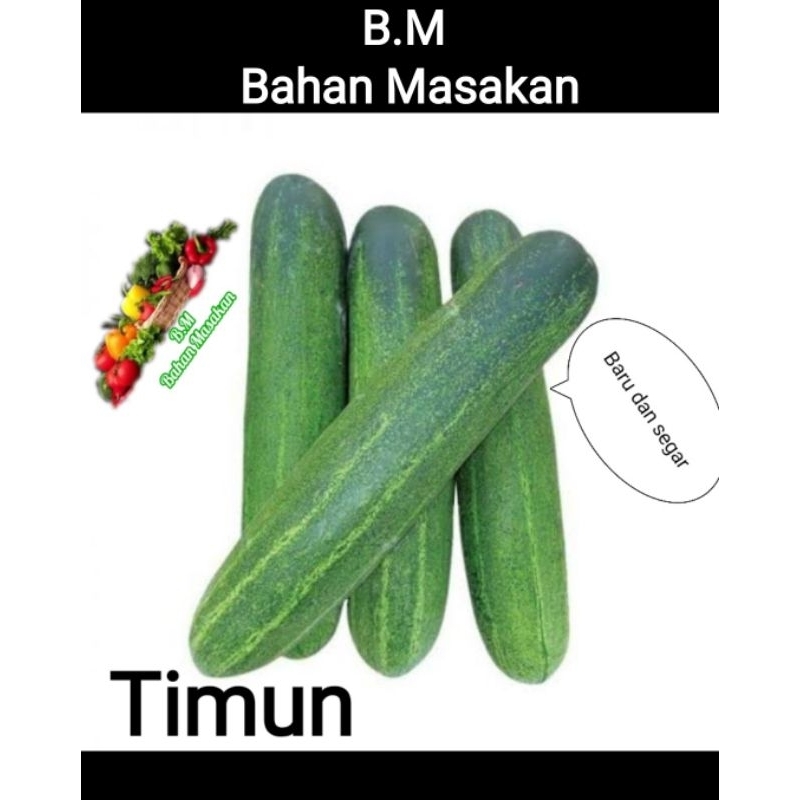 

Timun Sayur Atau Timun Lalap