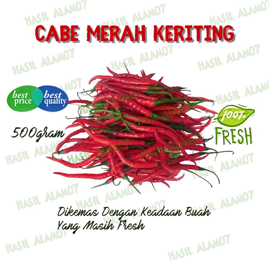 

Cabe Keriting Merah Segar Fresh 1 Kg
