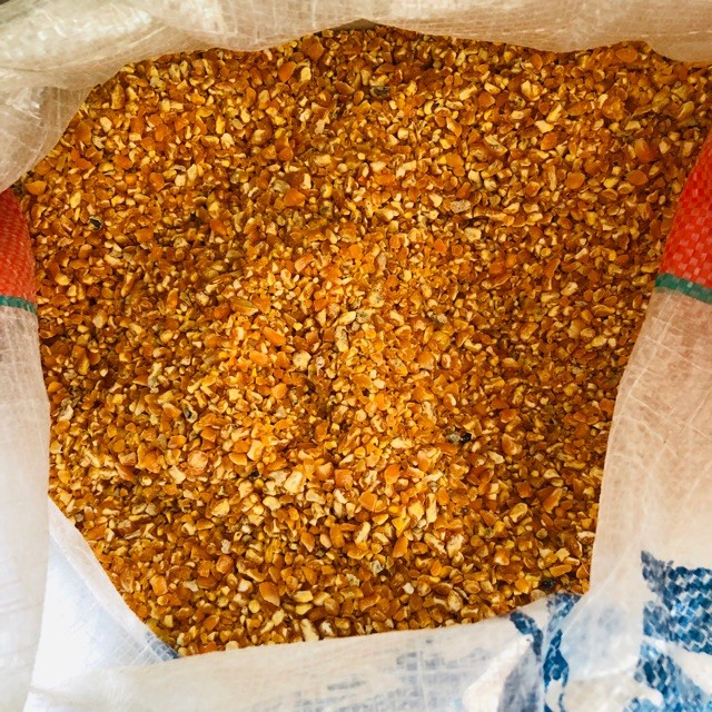 JAGUNG PECAH TOP PAKAN AYAM BURUNG MERPATI DLL 500 GRAM 1/2KG