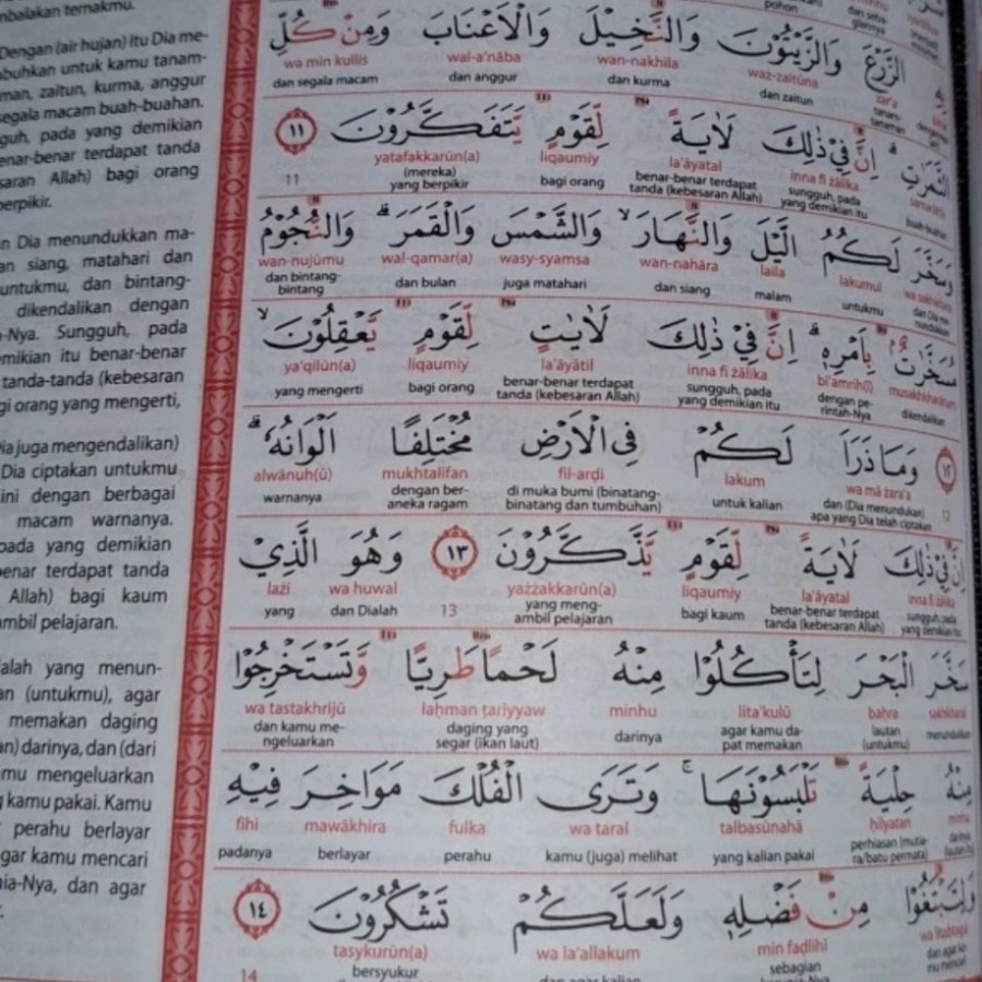 AL Quran AL Khobir A4 (Besar) AL Quran Perkata+ Transliterasi AL Quran Tajwid (21X 29,7)CM