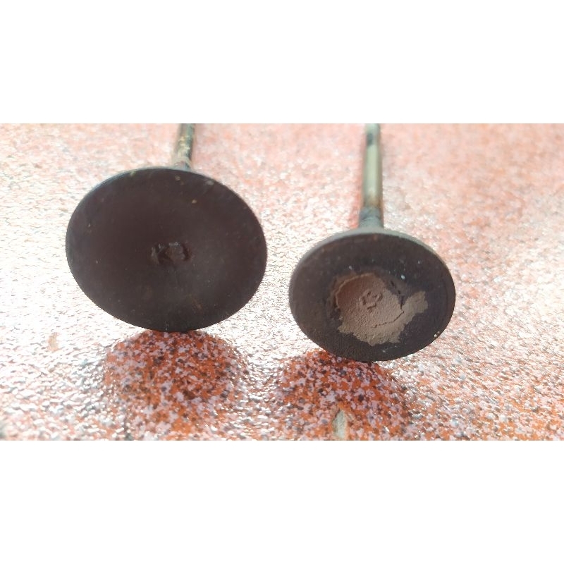 klep tiger ori copotan