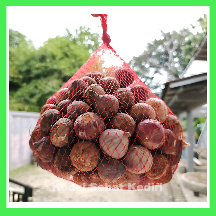 

BAWANG PUTIH TUNGGAL 250 GR - BAWANG PUTIH LANANG