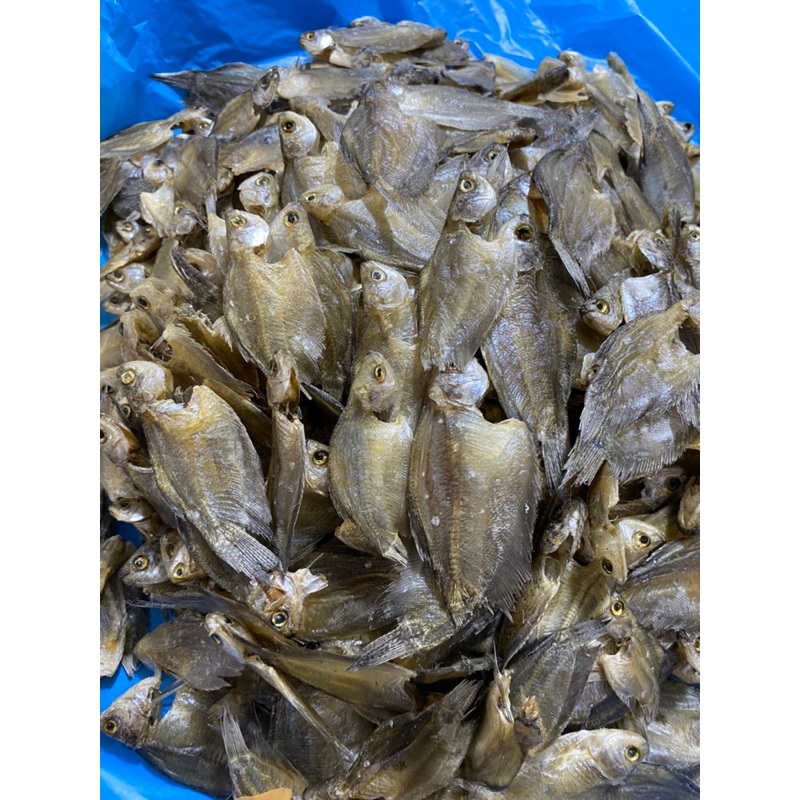 

ikan sepat tawar kecil