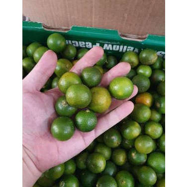 

Ready Jeruk Sonkit 500gram