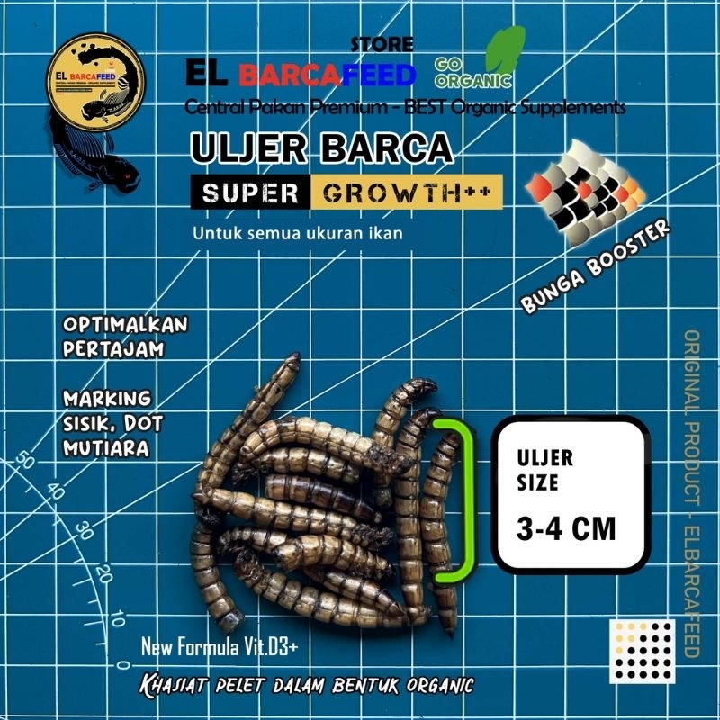 Uljer BARCA Super Growth Ulat Jerman kemasan botol 40 Gram