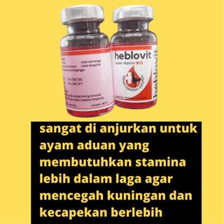 doping inject memerahkan memaksimalkan kinerja ayam zeorfarm