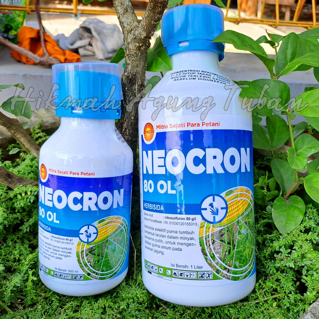 

Neocron 80 OL 1 Liter - Herbisida selektif Purna tumbuh tanaman jagung