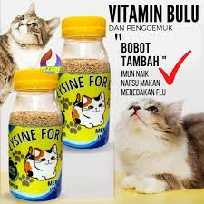 Vitamin Penggemuk dan Bulu Kucing Penumbuh Bulu Kucing Pelebat Bulu Obat Bulu Kucing Rontok