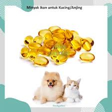 50 Butir Minyak Ikan Fish Oil Vitamin Omega Bulu Kucing Anjing Hamster Premium