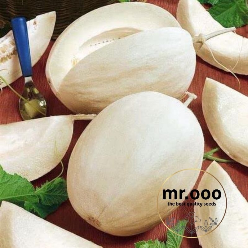 Benih Melon Jepang - Sakata's Sweet - 5 Benih - Import