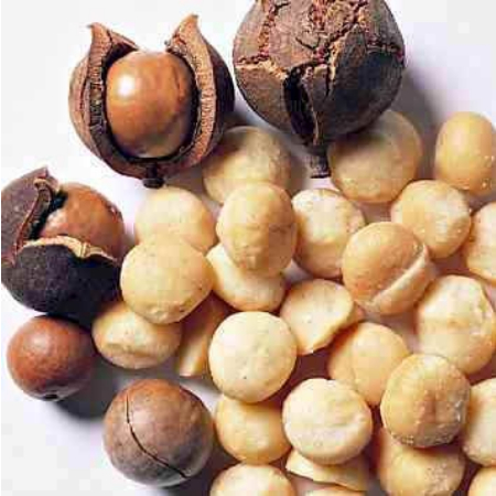 

Roasted Macadamia Nut 250 Grams FREE ALAT PEMBUKANYA termurahhh