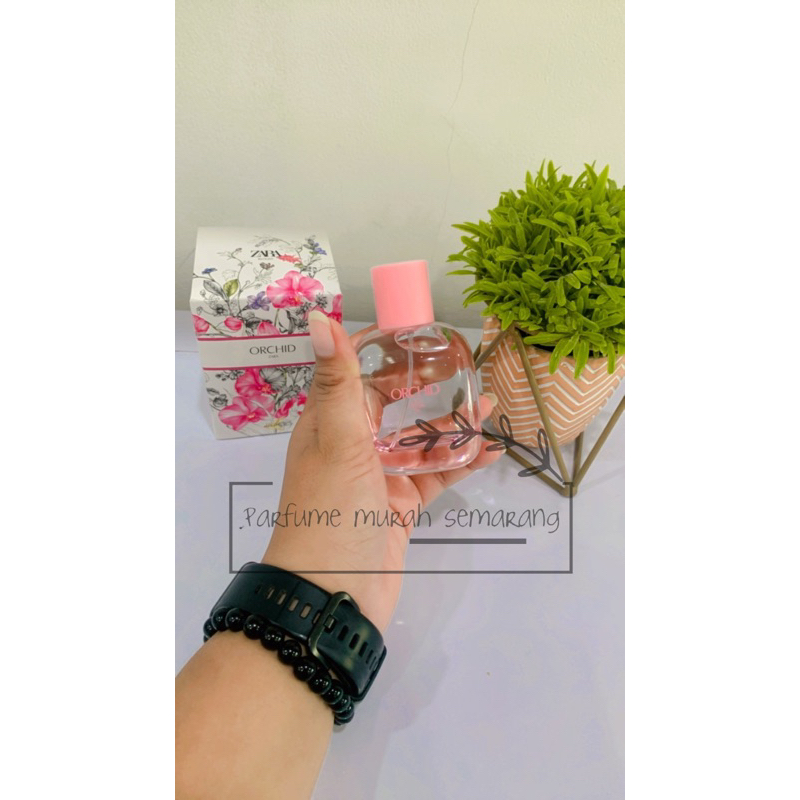 ZARA orchid