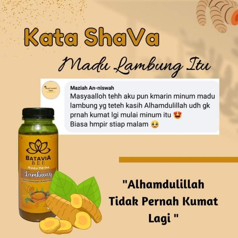 

Madu Lambung Batavia Bee / Madu Gerd Madu Magh