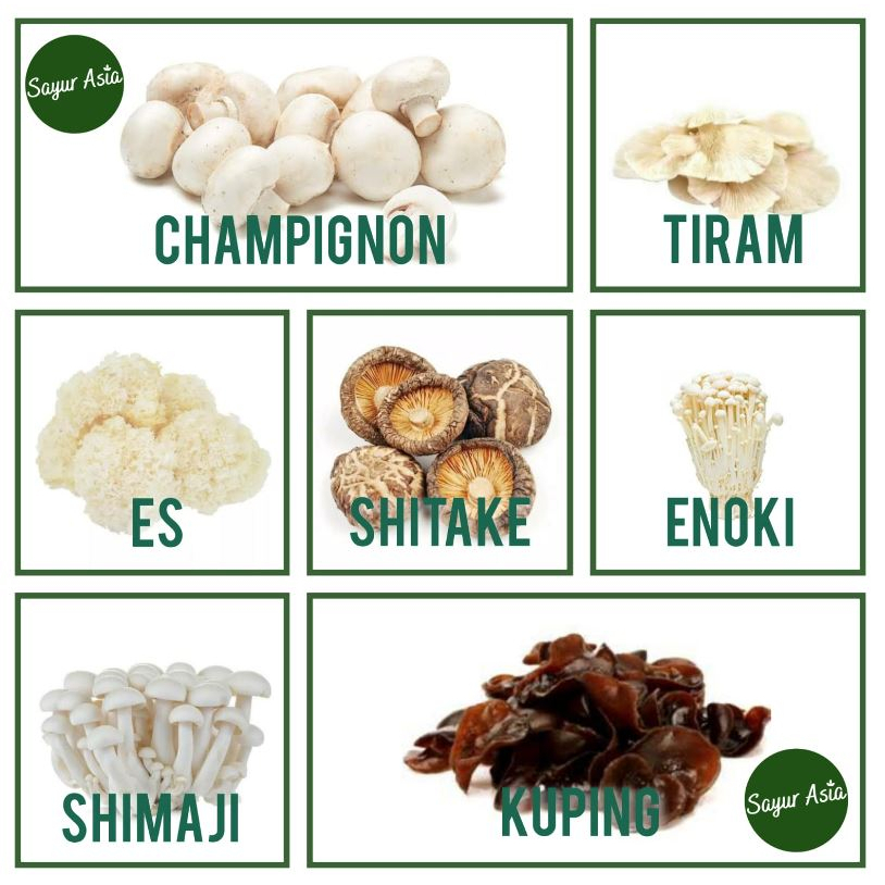 

JAMUR ES / ENOKI / SHIMEJI / CHAMPIGNON / SHITAKE / KUPING / TIRAM