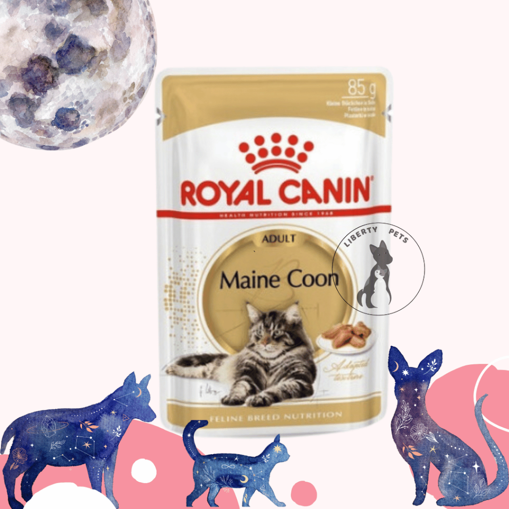 Royal Canin Mainecoon Adult Wet Food Pouch 85gr (1 Pcs)