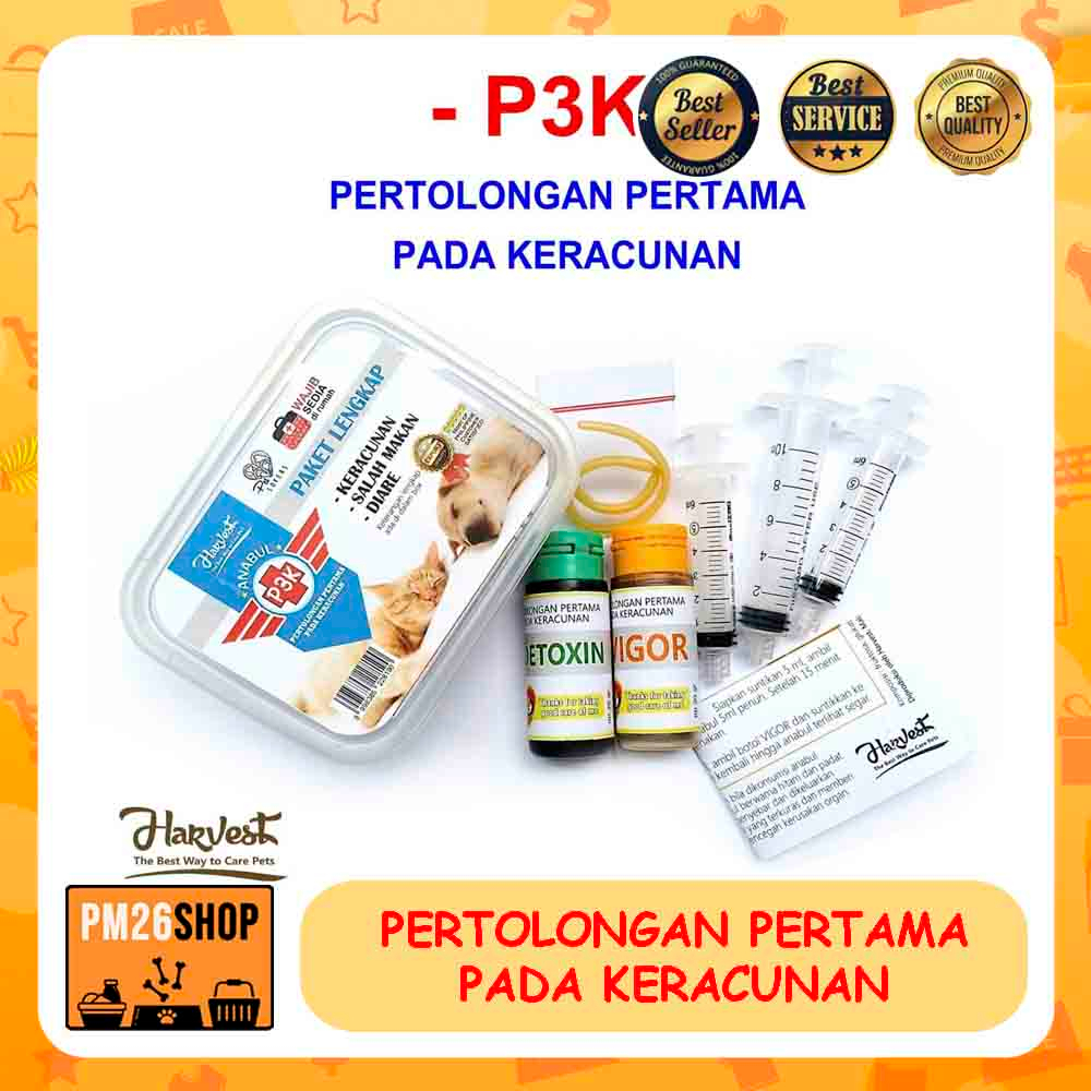 OBAT DIARE MUNTAH KERACUNAN UNTUK ANJING KUCING KERACUNAN OBAT TIKUS