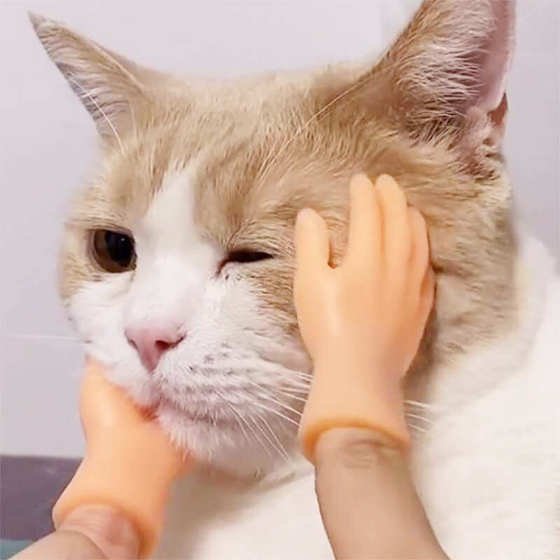 TEASING CAT DOG FINGER - Mainan Sarung Tangan Jari Palsu Menggoda Menggelitik Hewan Kucing Anjing