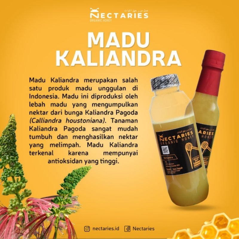 

Madu Kaliandra Asli