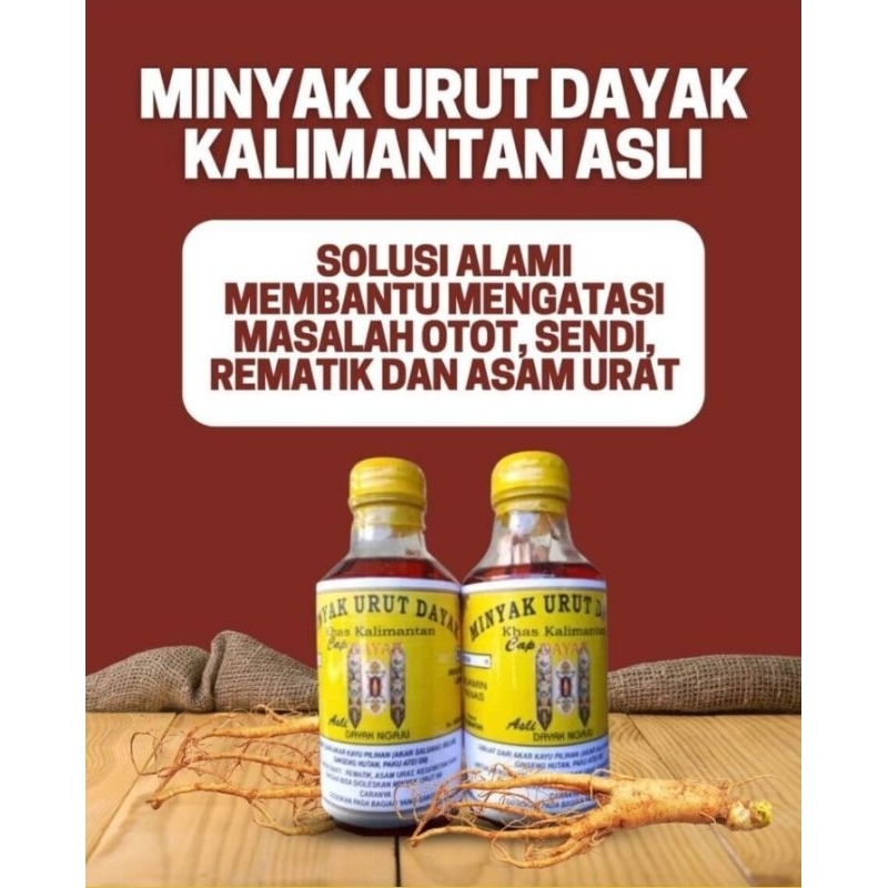 minyak urut dayak dari rempah pilihan hutan perawan original 100%/massage oil dayak tribe of borneo made from roots,spices spesial potion hand on.from great ancestor