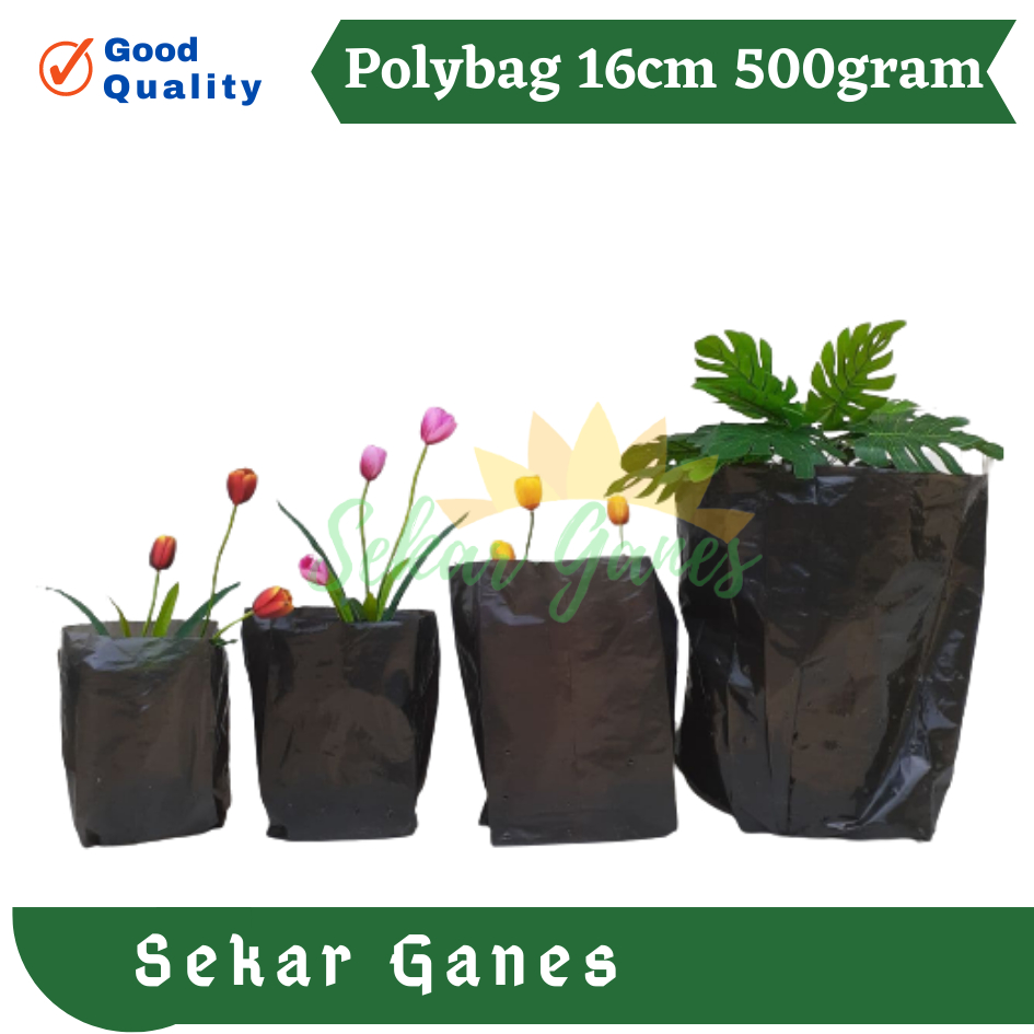 Polybag Polibek 60x60cm Polibag Besar 60x60 cm Kualitas Bagus Grosir