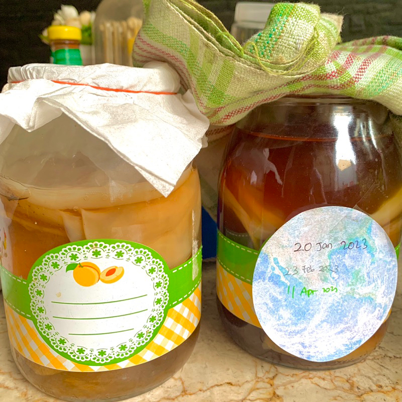 

SCOOBY BIANG KOMBUCHA