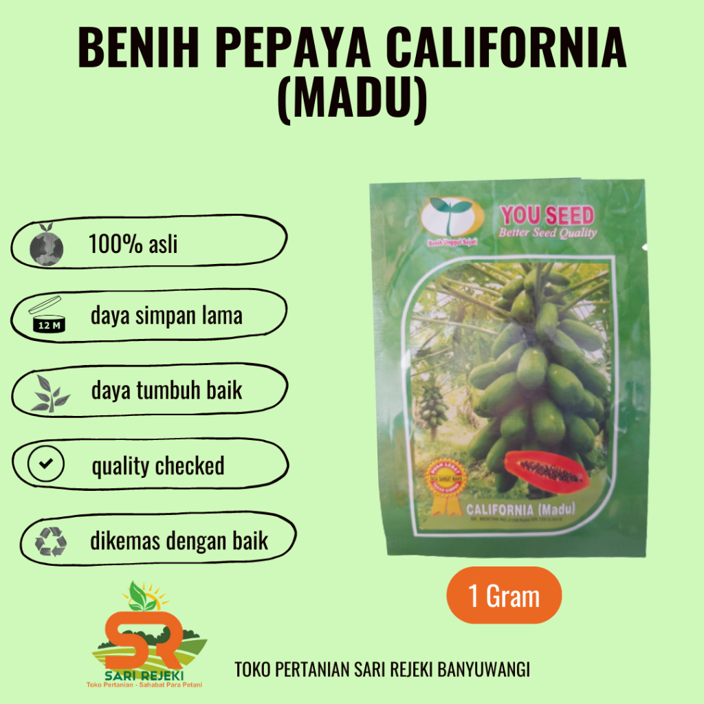BENIH PEPAYA CALIFORNIA (MADU) 1GRAM