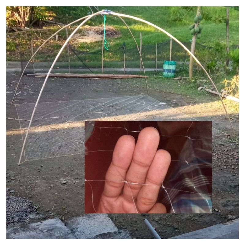 jaring/anco/branjang ikan besar 2,1/4 in (nila babon senar 0.30) 2.5x2.5m-6mx6m