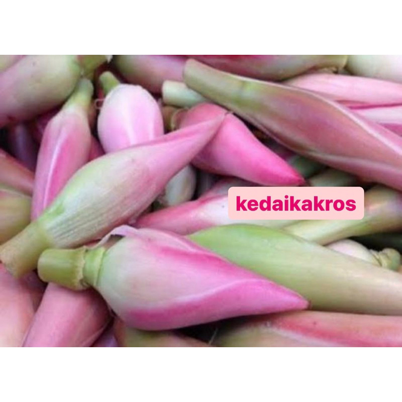 

Kecombrang / Kincung