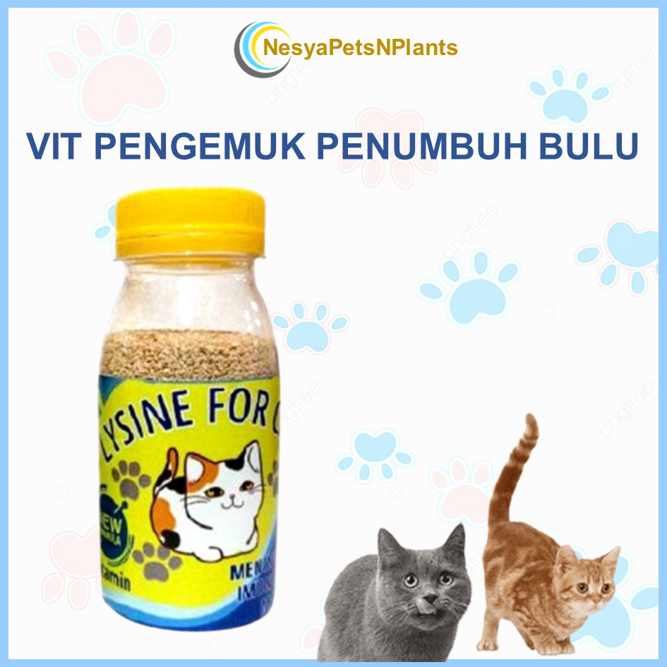 Vitamin Penggemuk dan Bulu Kucing Penumbuh Bulu Kucing Pelebat Bulu Obat Bulu Kucing Rontok