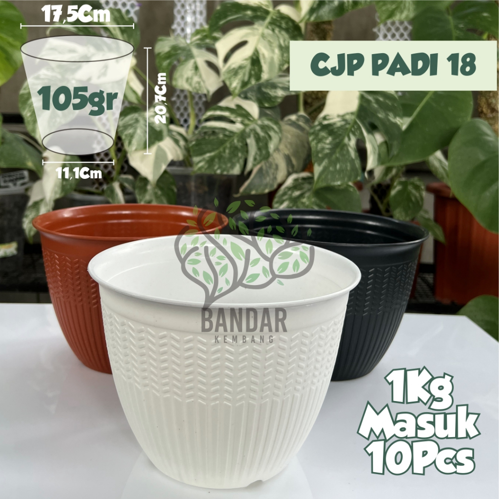 Pot Kecil CJP Padi 18 Warna Hitam Merah Putih Tanaman Bunga Hias | Pot Mini | Pot Lucu  | Pot Aesthe