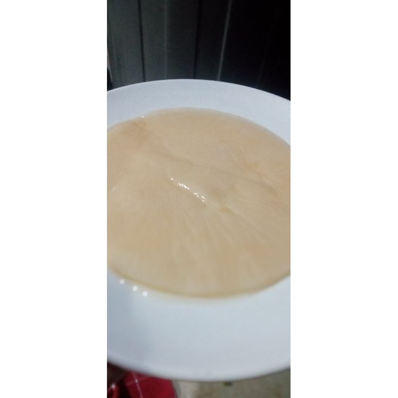 

hanya starter bibit kombucha 200ml