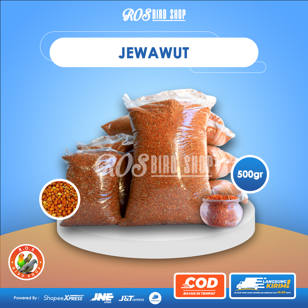 500gr Jewawut Pakan Burung PERKUTUT LOVE BIRD KENARI BERSIH Sudah Dicuci dan Ditampi