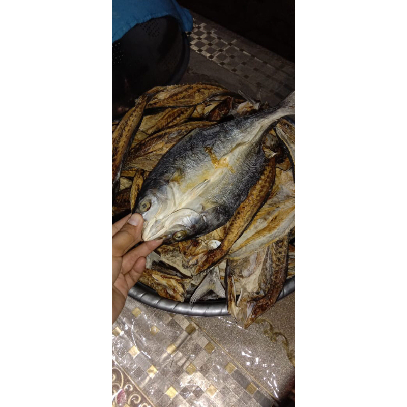

ikan garam khas pulau buru per 1kg