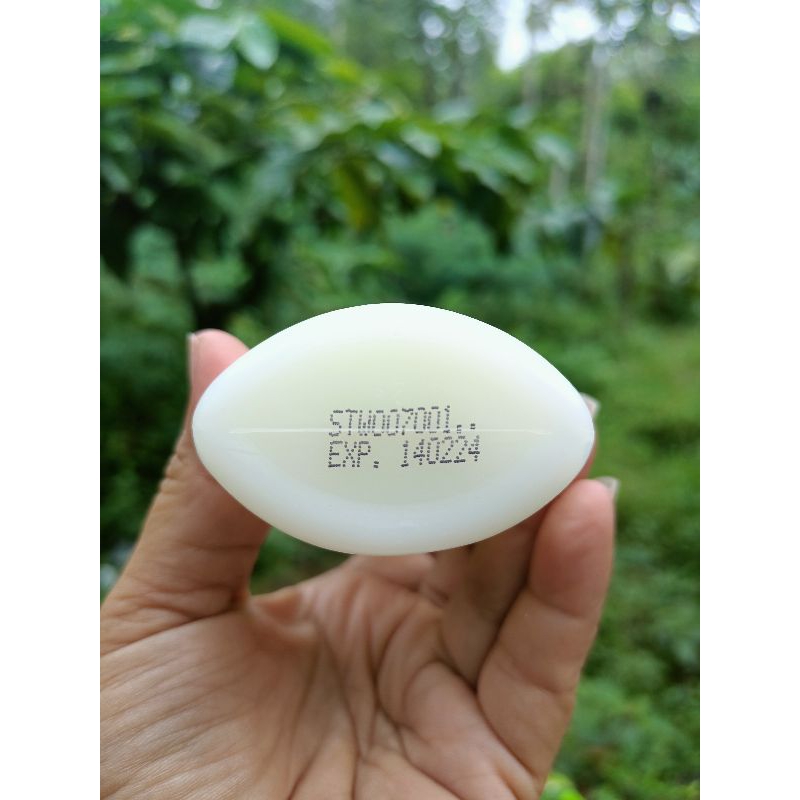 HB PEMUTIH BADAN/HB BIBIT STW ORI