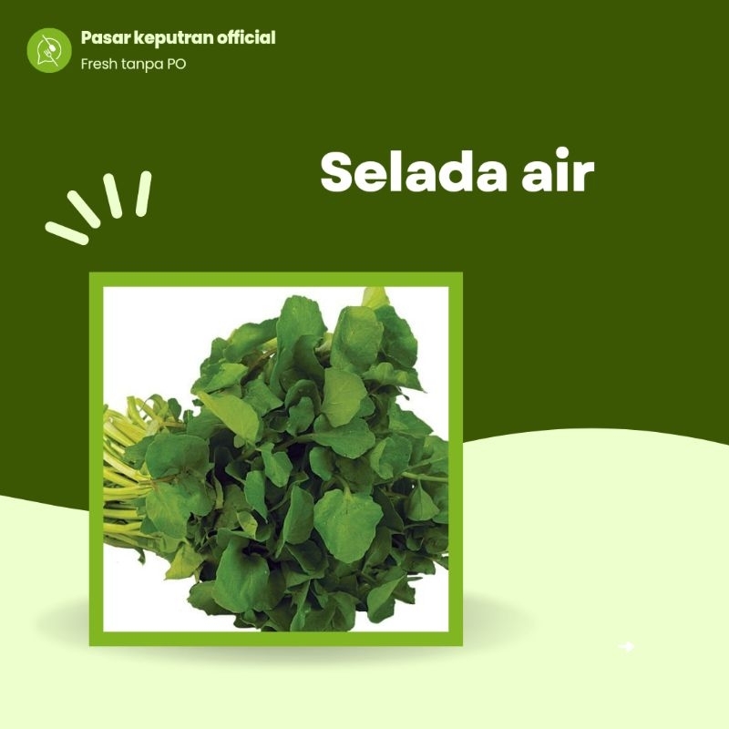 

Selada air, sayur selada air,selada fresh