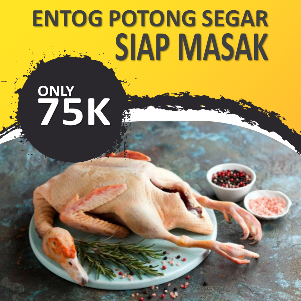 

Entok Potong Fresh - Daging Entok - Bebek Entok - Nila Potong / Hidup