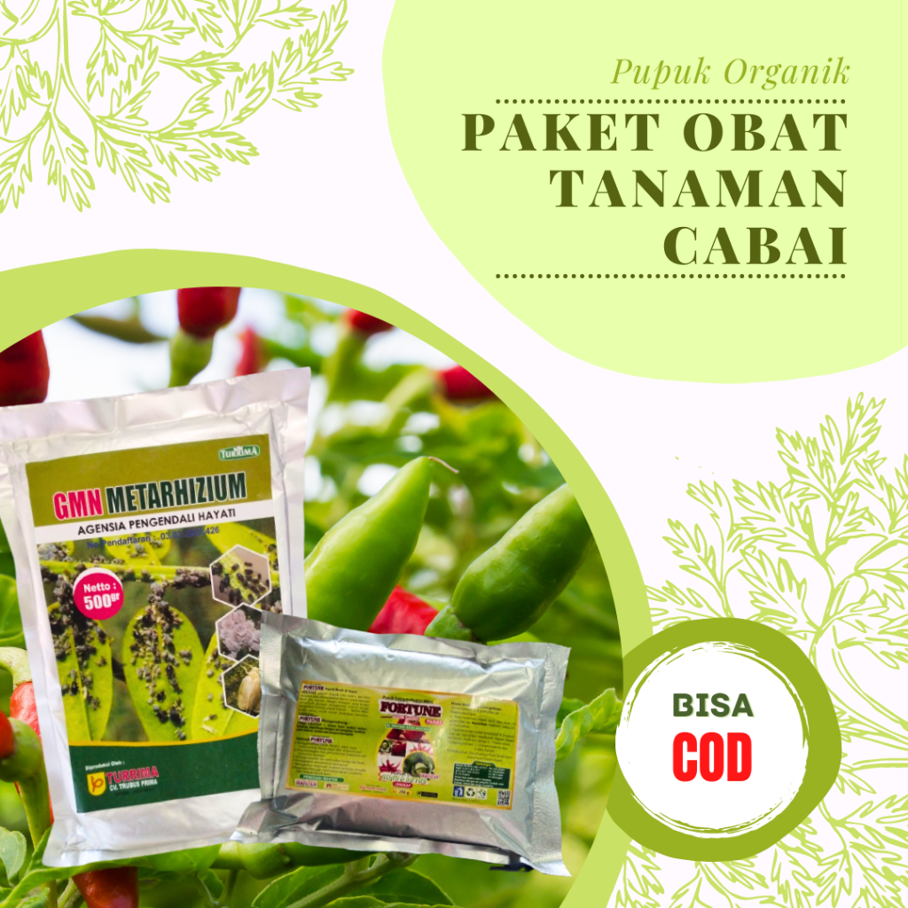 Obat Cabe Daun Kuning Dan Kriting, Paket Pupuk Cabai Rawit Berbuah Lebat