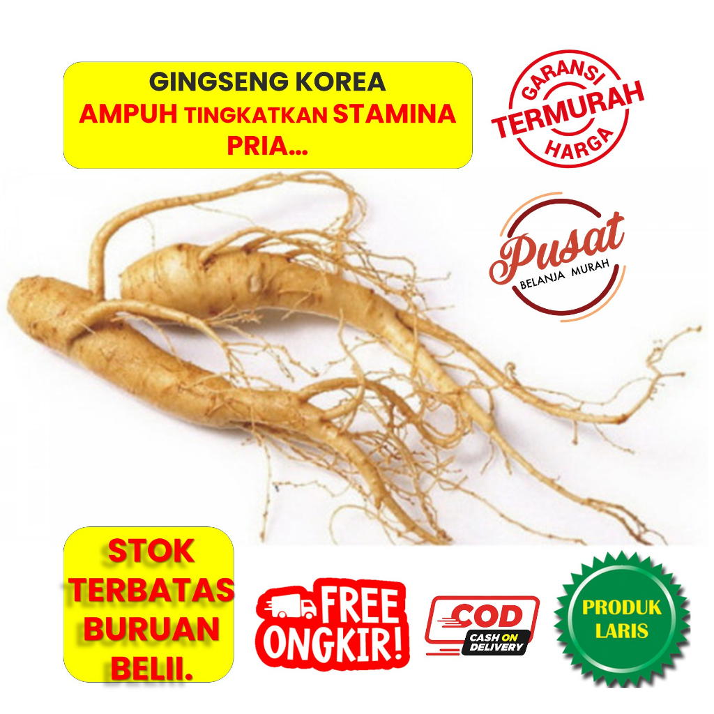 GINGSENG KOREA GINGSENG MERAH Gingseng asli korea Gingseng stamina Gingseng Jawa Gingseng Jamu
