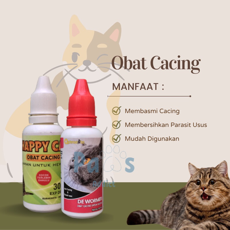 Obat Cacing Tetes Kucing Kitten Dewasa Ampuh Membasmi Cacing Untuk Kucing Dewasa dan Anak
