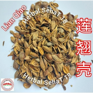 

10 gram - Lian Qiao Ke - Lian Chiao 连翘壳 Lianqiao / Lien Qiao / Lien Chiao / Forsythia Fruit - Fructus Forsythiae Suspensae - LIAN KHIAU KHOK