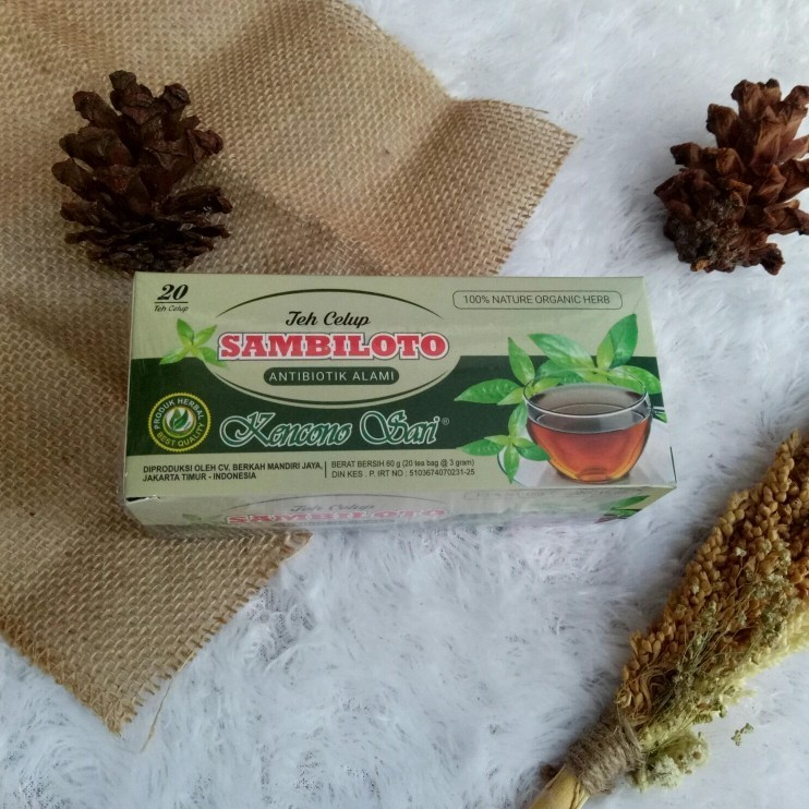 

Teh Celup Daun SAMBILOTO Obat Herbal Alami Asli Original Harga Promo