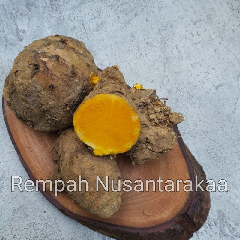 

Temulawak fresh kemasan 1 kg