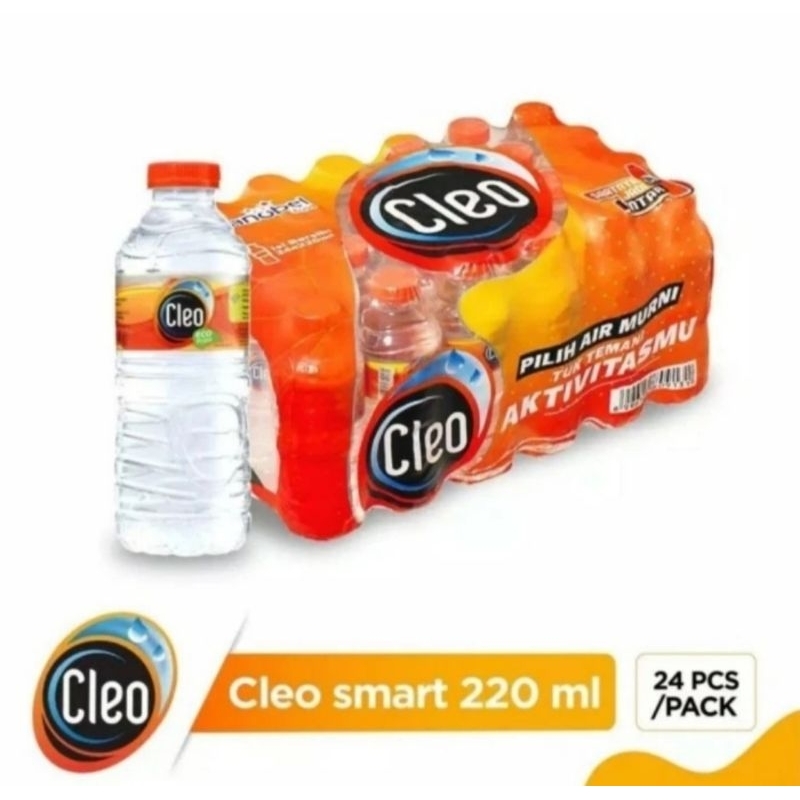 air mineral cleo botol kecil 220 ml ( isi 24 botol)