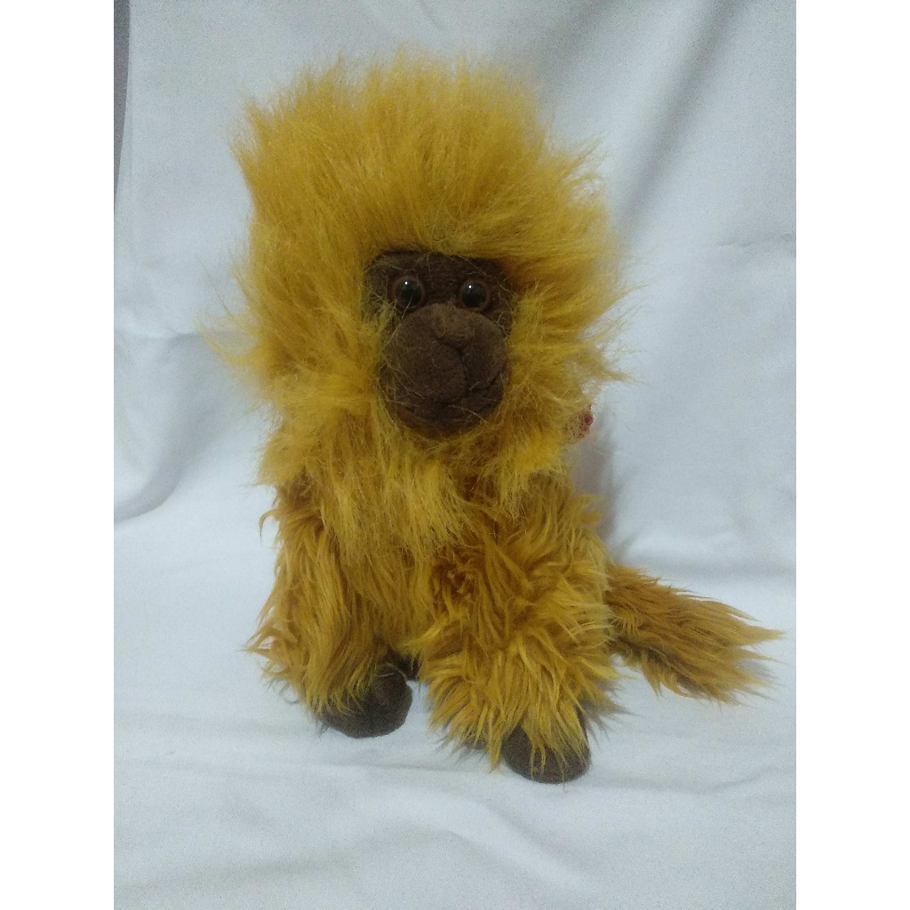 Boneka Monkey Monyet Tamarin Singa Emas Preloved