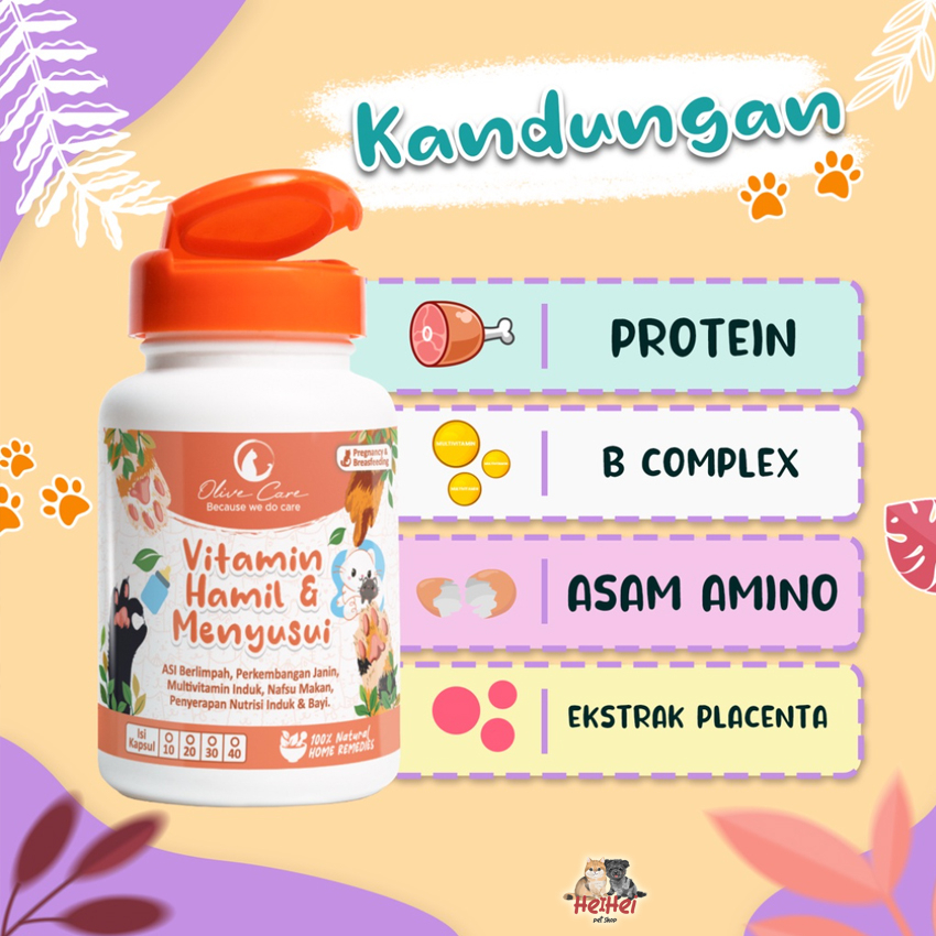 Olive Care Cat Vitamin Kucing Hamil &amp; Menyusui - Untuk Produksi Asi, Perkembangan Bayi, Multivitamin Induk Kucing