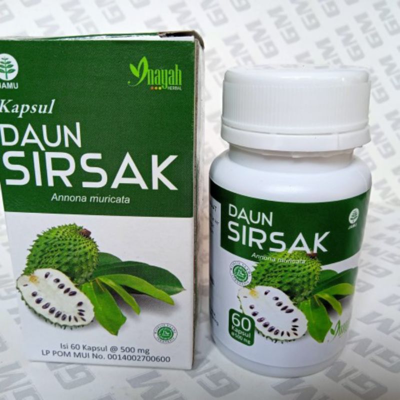 Kapsul Daun Sirsak