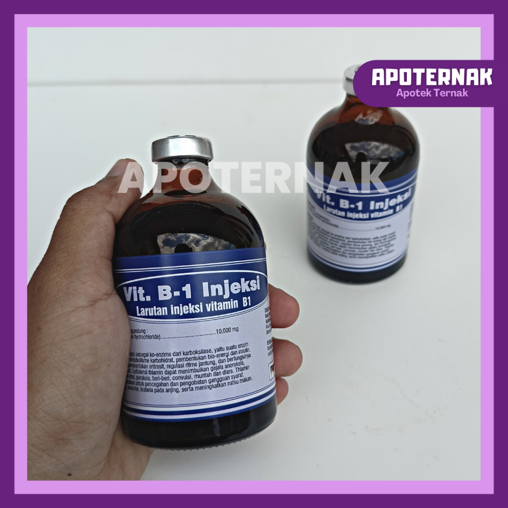 Vitamin B1 Injeksi 100 ml | Vitamin Untuk Pertumbuhan &amp; Nafsu Makan Hewan | Vit B1 Hewan | Vitamin B1 Hewan | Seperti B1 Wonder