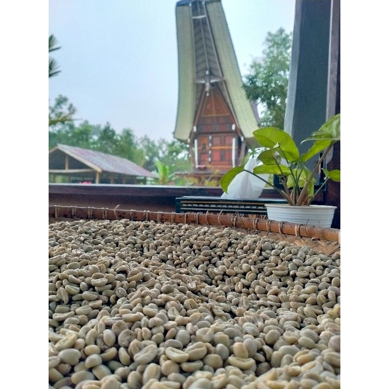 

Kopi green Bean Arabika Pulu-pulu