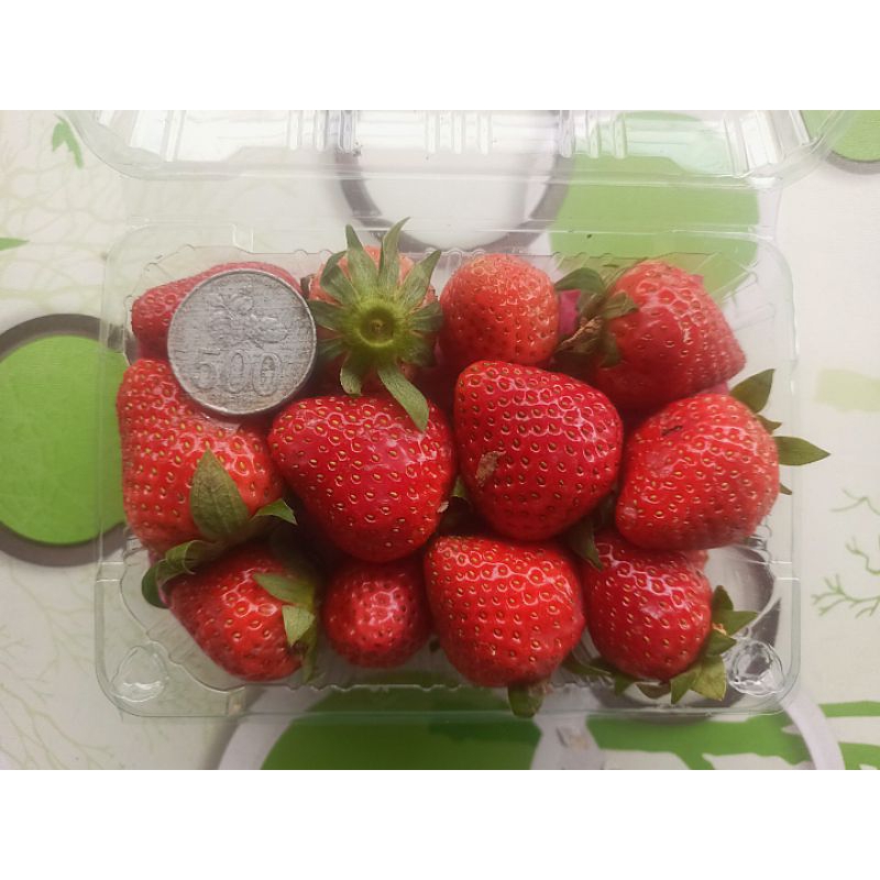 

Strawberry Lokal Fresh